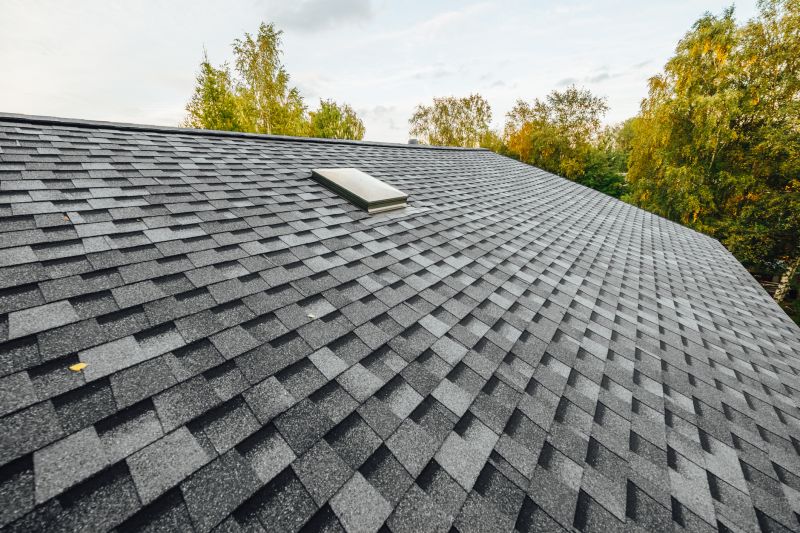 Roofing Service in Spring